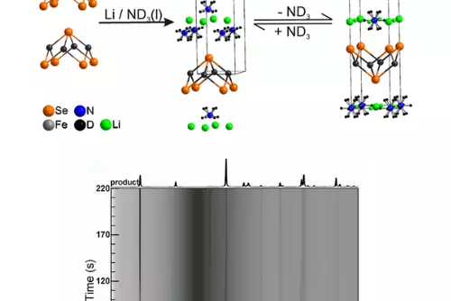 Ammonia-rich superconducting intercalate of FeSe